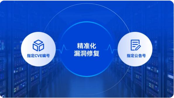 网站安全漏洞修复指南