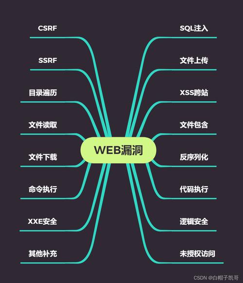 网站安全漏洞分析