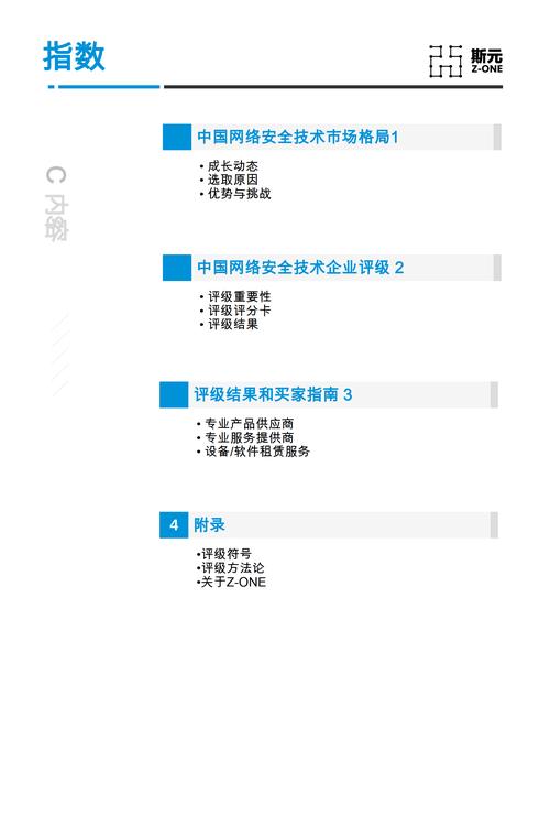 网站安全评估